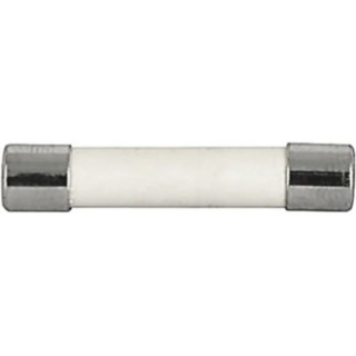 Schurter 12A Time Delay Ceramic Cartridge Fuse 6.3 x 32 mm 250V AC 8020.0603.G