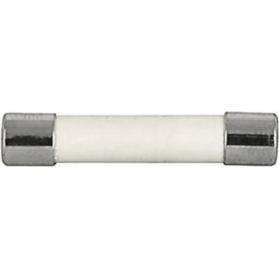 Schurter 12A Time Delay Ceramic Cartridge Fuse 6.3 x 32 mm 250V AC 8020.0603.G