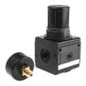 EMERSON ? AVENTICS Pneumatic Regulator Series G 3/8 to G 3/4 Maximum Pressure 16 bar Temperature Range -10°C to 60°C NL4-RGS