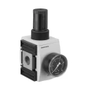 EMERSON ? AVENTICS Pneumatic Regulator Series G 3/4 Type G G Polyamide 16 bar 50°C AS5-RGS