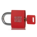 RS PRO Key Brass Padlock Keyed Alike, 6 mm Shackle Diameter, 40 mm Body Width 195-8252