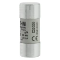 Eaton 20A Ceramic Cartridge Fuse 22 x 58 mm 690V AC gG/gL Category C22G20