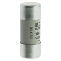 Eaton 100A Ceramic Cartridge Fuse 22 x 58 mm 500V AC High Breaking Capacity C22G100