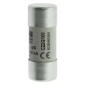 Eaton 100A Ceramic Cartridge Fuse 22 x 58 mm 500V AC High Breaking Capacity C22G100