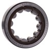SKF Cylindrical Roller Bearing, 31.5 mm Inside Diameter, 52 mm Outside Diameter, Non-Metallic Cage, Single Row RNU 205 ECP