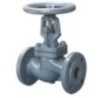 Globe Valve