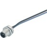 binder Male 12 way M12 to Unterminated Sensor Actuator Cable 200 mm 30V IP68 09-3491-700-12