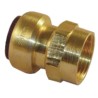 Pegler Yorkshire Brass Pipe Fitting Compression Coupler Female G 1/2 in to Female Threaded 1/2 in 65206