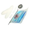 Raytech Cable Joint Kit Branch Polymeric Resin Enclosure with Phase Separator Magic Joint Y6