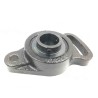 INA Bearing Unit Cast Iron Housing Radial Insert Ball Bearing with Grub Screws 20 mm ID UCFA204-J7