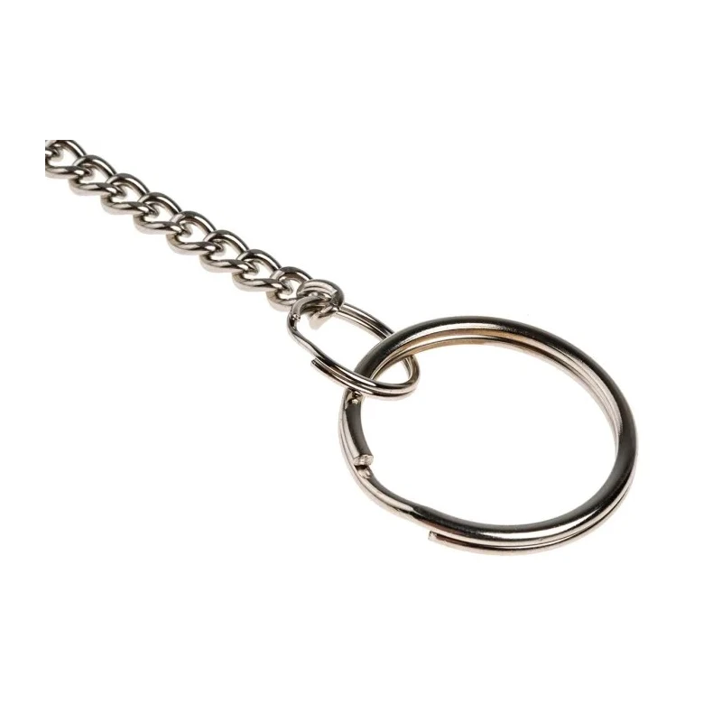 Securikey Pocket Key Chain Steel Material RKCTS