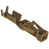 TE Connectivity AMPMODU Short Point Series Female Crimp Terminal 3A Current 24-20 AWG 11.68mm Length Gold Plated 1-104479-3