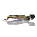 Phoenix Contact Sensor Actuator Cable Female 12-Way M12 to Unterminated, 500 mm, Polyurethane Jacket, IEC 1556252