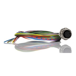 Phoenix Contact Sensor Actuator Cable Female 12-Way M12 to Unterminated, 500 mm, Polyurethane Jacket, IEC 1556252