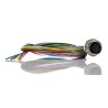 Phoenix Contact Sensor Actuator Cable Female 12-Way M12 to Unterminated, 500 mm, Polyurethane Jacket, IEC 1556252