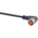 Lumberg Automation Sensor Actuator Cable Female 4 Way Right Angle to Unterminated Free End 2 m 250V 43595 RKWT 4-3-224/2 M