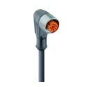 Lumberg Automation Sensor Actuator Cable Female 4 Way Right Angle to Unterminated Free End 2 m 250V 43595 RKWT 4-3-224/2 M