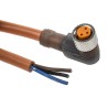 Lumberg Automation Sensor Actuator Cable Female 3 Way Right Angle to Free End 2m 63V RKMWV Series 11324 RKMWV 3-06/2 M