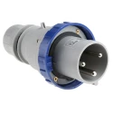 Scame IP67 Blue Cable Mount 2P+PE Straight Industrial Power Connector, 63A, 230V IP67