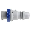 Scame IP67 Blue Cable Mount 2P+PE Straight Industrial Power Connector, 63A, 230V IP67