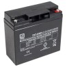 RS PRO 12 V T12 Sealed Lead Acid Battery 20 Ah, AGM Construction, 181.5 mm x 167.5 mm 727-0391