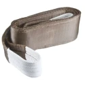 RS PRO 5 m Brown Lifting Sling Webbing 6 t Safe Working Load Flat Polyester Webbing Sling 729-3032