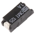Schurter Non-Resettable Fuse 1A 125V AC 125V DC Time Delay Surface Mount OMT 125 3404.0114.22