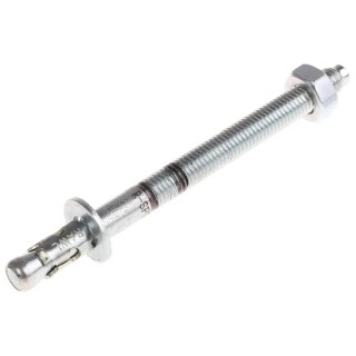 RawlPlug Carbon Steel Zinc Plated Bolt Anchor Thread Size 10 mm Length 130 mm R-XPT-10130/60