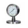 Diaphragm Seal Direct Flanged Flushed Type
