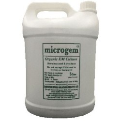 microgem-bio-culture-7177