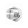 Diaphragm Seal Screwed Flush Type