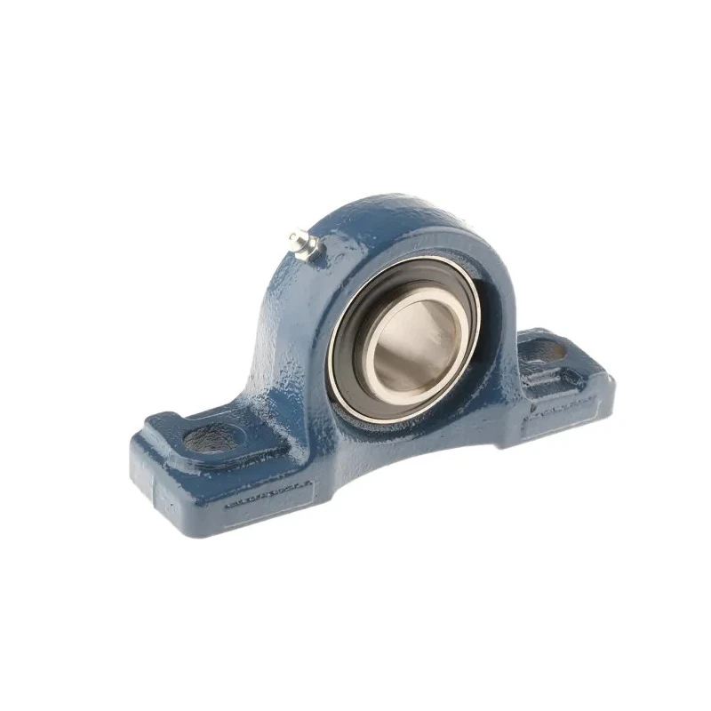 RS PRO Cast Iron Two-Bolt Pillow Block Bearing 25.4 mm Inside Diameter UCP205-16