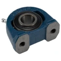 RS PRO Pillow Block Bearing Cast Iron 20 mm ID, Centre Height 30.2 mm, Mount Hole Size 10 mm UCPA204