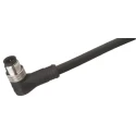 Brad from Molex Sensor Actuator Cable Male 3 Way Right Angle to Unterminated 3 Way Free End 2 m 1200060288
