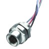 Brad from Molex Sensor Actuator Cable Female M12 Straight to 4 Way Unterminated 300mm 1200110013