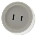 Legrand Travel Adapter USA Europe 230V 6A Non-Grounded 2-Pin Euro Plug to US Socket 0 503 85