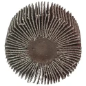 3M 339 Aluminium Oxide Abrasive Flap Wheel 60 mm Diameter 30 mm Face Width P120 Grit FC110075791