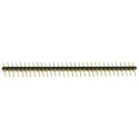 Samtec BBL Series Straight Through Hole Pin Header, 32 Contacts, 2.54 mm Pitch, 1 Row, Unshrouded BBL-132-G-F