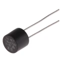RS PRO Non-Resettable Fuse Radial 160mA 250V Time Delay Thermoplastic Body 767-5178