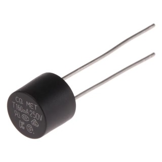 RS PRO Non-Resettable Fuse Radial 160mA 250V Time Delay Thermoplastic Body 767-5178