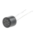 RS PRO Non-Resettable Fuse Radial 250mA 250V Time Delay Thermoplastic Body 767-5171