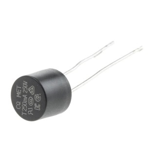 RS PRO Non-Resettable Fuse Radial 250mA 250V Time Delay Thermoplastic Body 767-5171