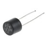 RS PRO Non-Resettable Fuse Radial 100mA 250V AC Fast Acting Thermoplastic Body 767-5181