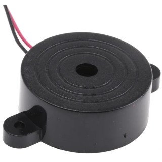 RS PRO 95 dB Through Hole Continuous Internal 16 mm Buzzer 60 mm 8 V dc Min 18V dc Max 767-5358