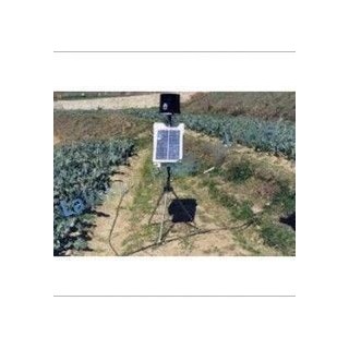 digital-wireless-rain-gauge-oregon-8120