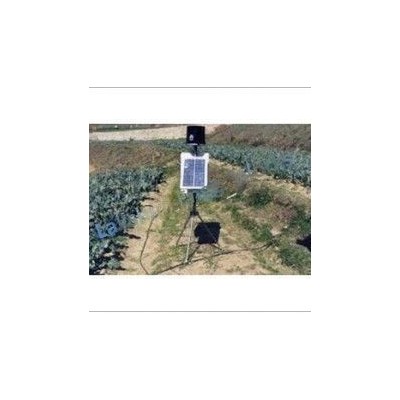 digital-wireless-rain-gauge-oregon-8120