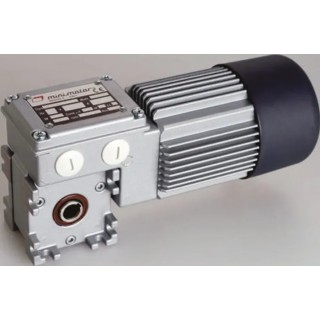 Mini Motor AC Reversible Worm Geared Motor 49 W, 3 Phase, 24-Pole, 230V/400V, Flange Foot Mounting MC 244PT 40 B5