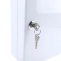 Rottner Comsafe Grey Steel Key Cabinet Wall Mount T03122