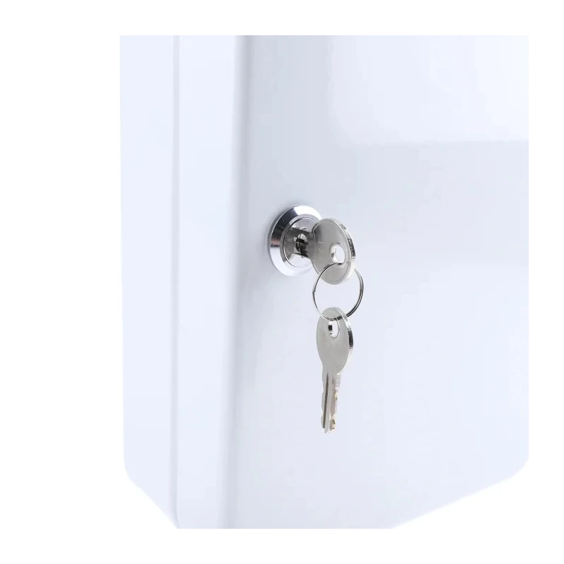 Rottner Comsafe Grey Steel Key Cabinet Wall Mount T03122