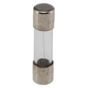 Schurter 2A 250V AC T Glass Cartridge Fuse 5 x 20 mm, Fast Acting 0034.3120
